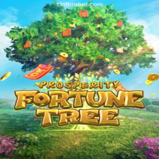 Exploring ProsperityFortuneTree on the Popular BRABET.com Platform