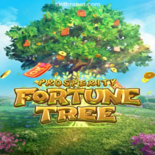 Exploring ProsperityFortuneTree on the Popular BRABET.com Platform